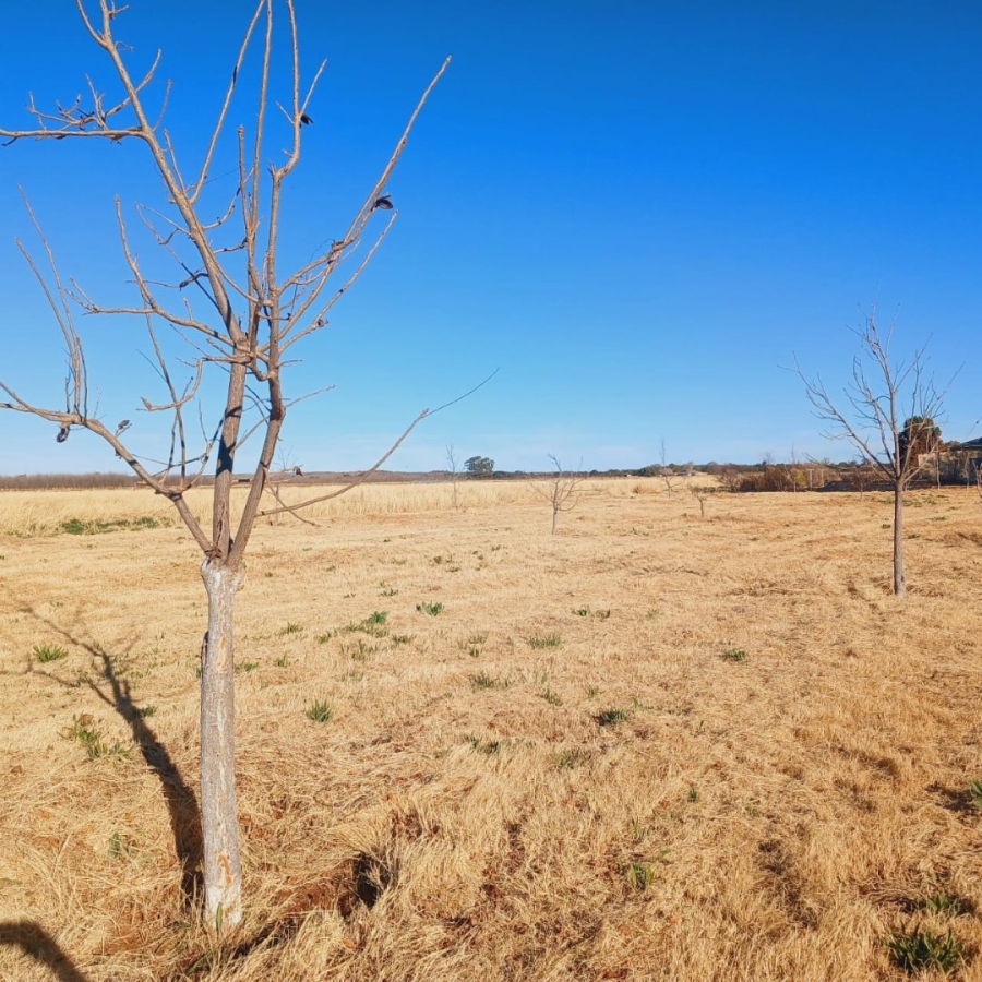 Bedroom Property for Sale in Barkly West Rural Northern Cape